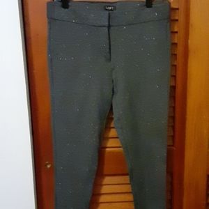 Ann Taylor Loft silver gray pants